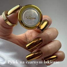 pylek-silver-rose-na-czarnym-lakierze